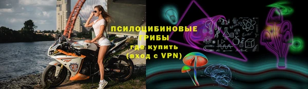 МДПВ Алзамай