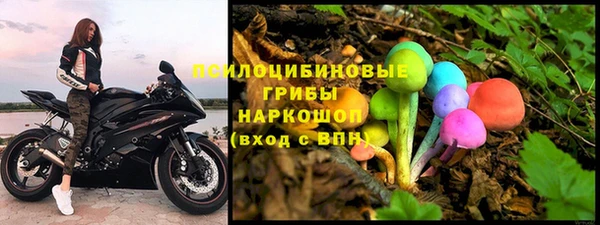 МДПВ Алзамай