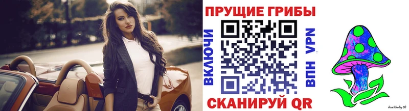цены наркотик  Суровикино  блэк спрут ТОР  Псилоцибиновые грибы мухоморы 