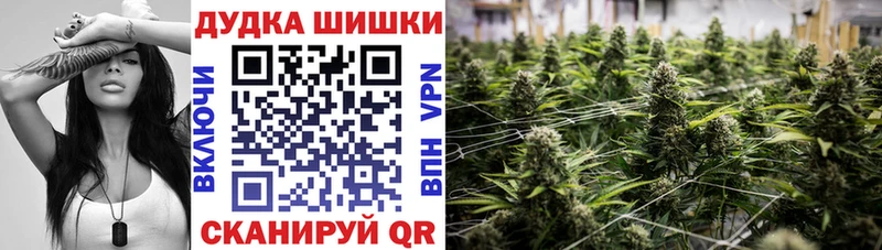 mega зеркало  Суровикино  Канабис индика  что такое наркотик 